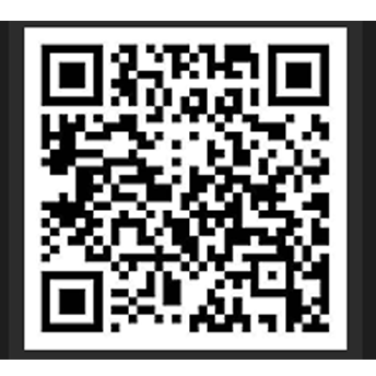 政配网|在线股票配资