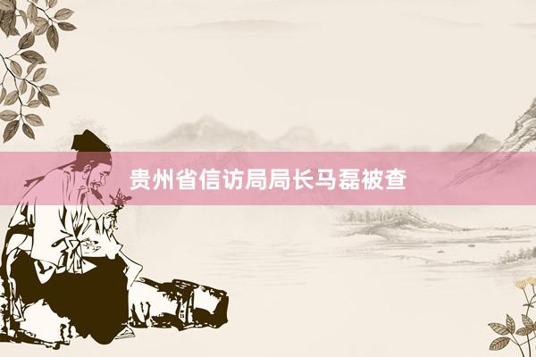 贵州省信访局局长马磊被查