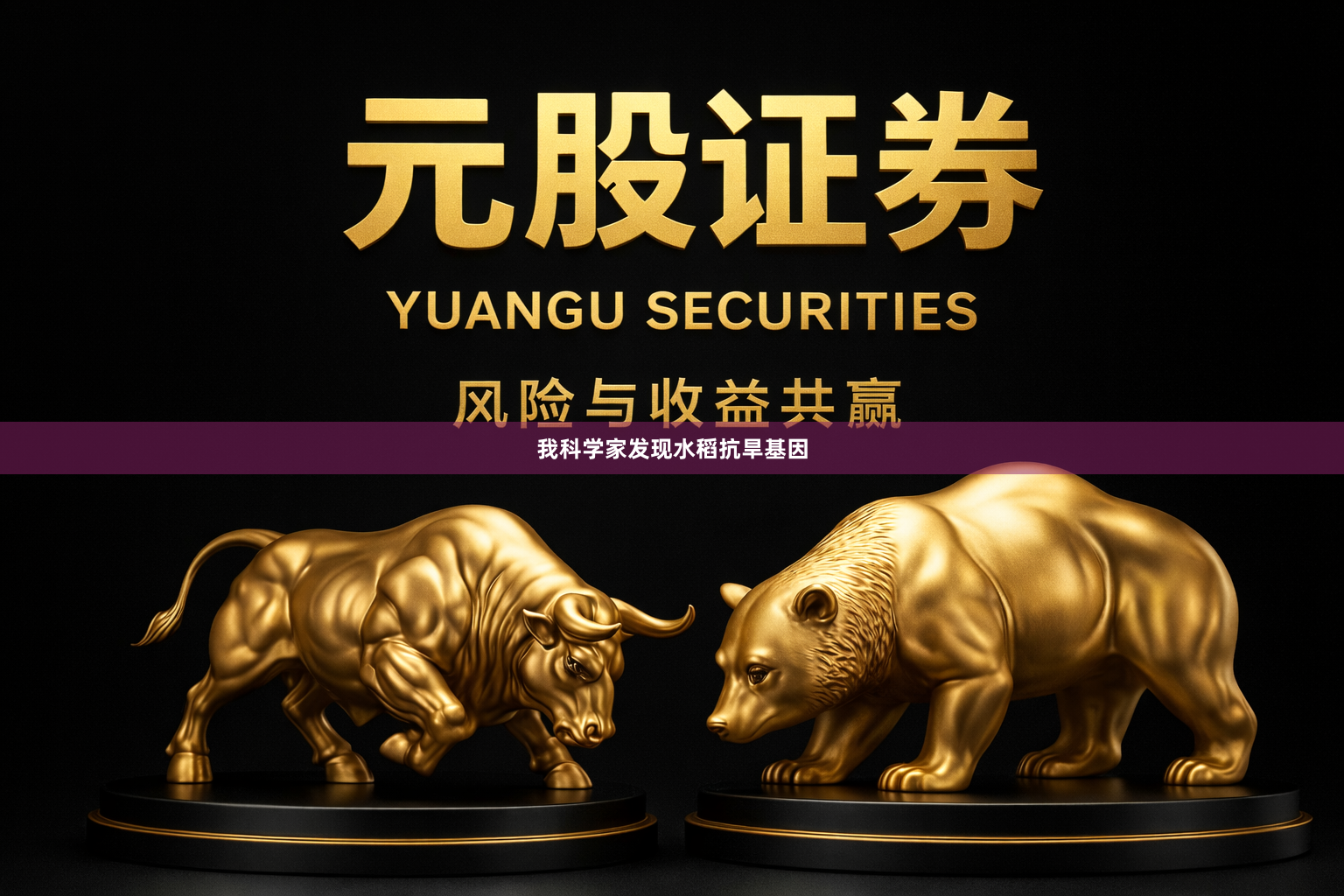 我科学家发现水稻抗旱基因