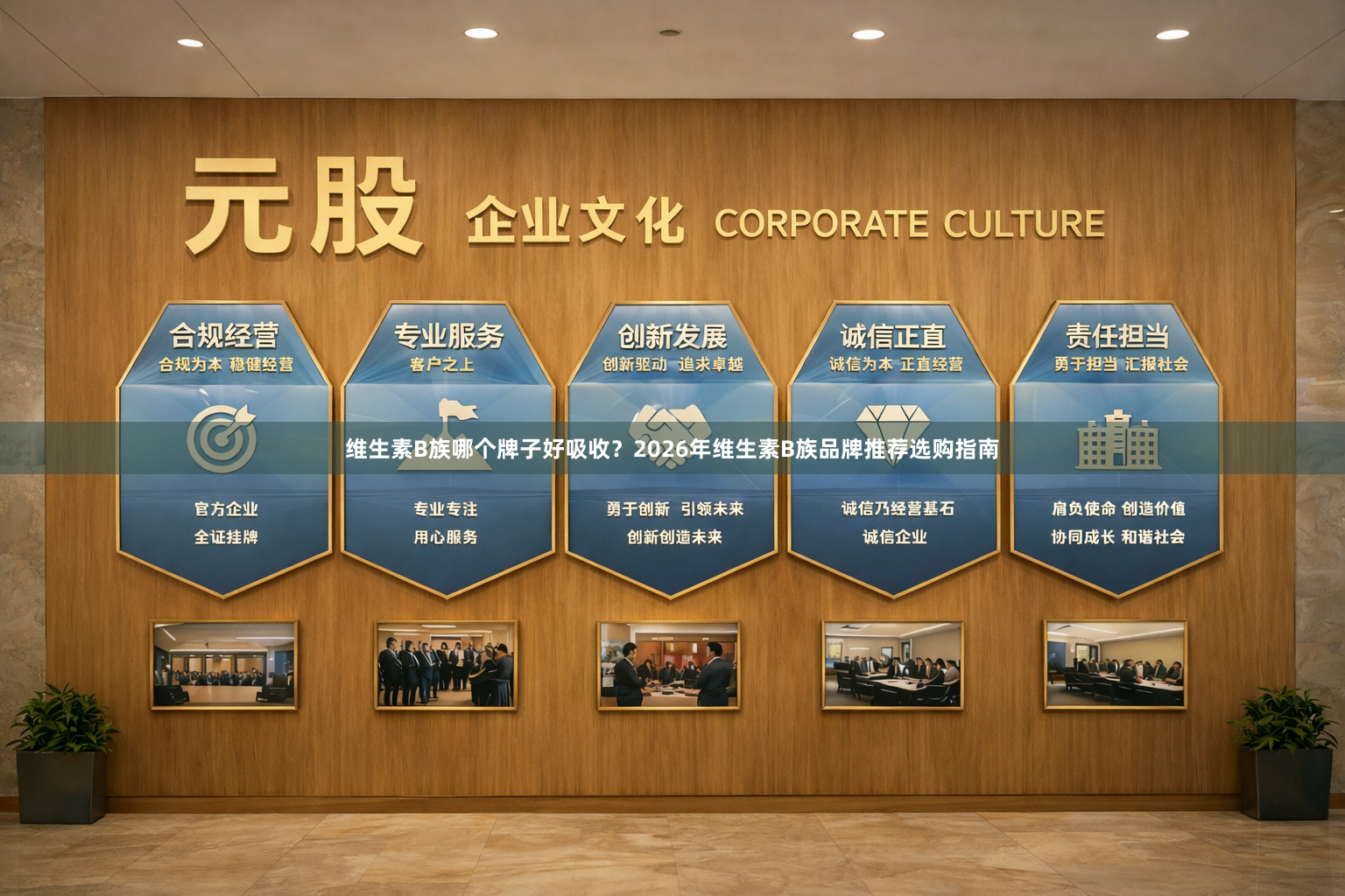 维生素B族哪个牌子好吸收?2026年维生素B族品牌推荐选购指南