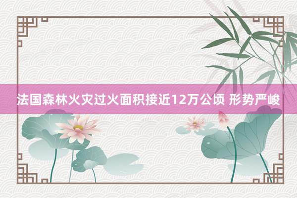 法国森林火灾过火面积接近12万公顷 形势严峻