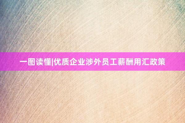 一图读懂|优质企业涉外员工薪酬用汇政策