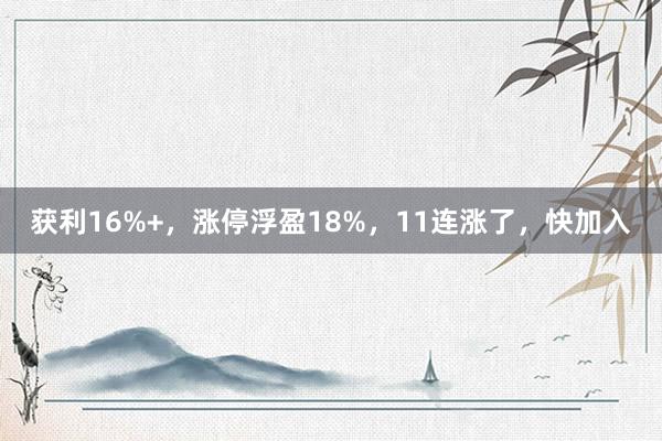 获利16%+，涨停浮盈18%，11连涨了，快加入