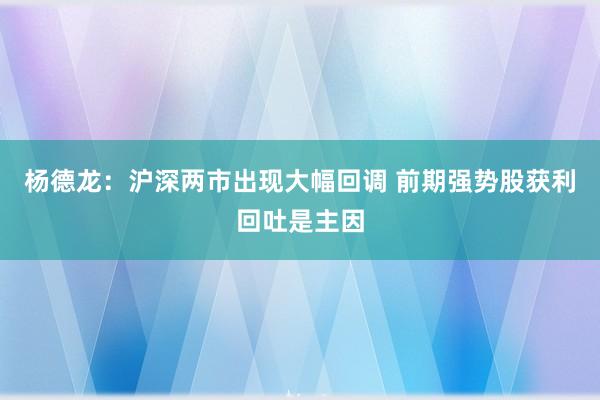 杨德龙：沪深两市出现大幅回调 前期强势股获利回吐是主因