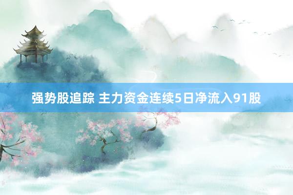 强势股追踪 主力资金连续5日净流入91股