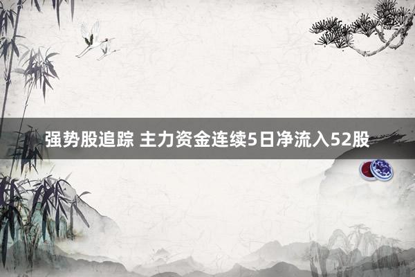 强势股追踪 主力资金连续5日净流入52股