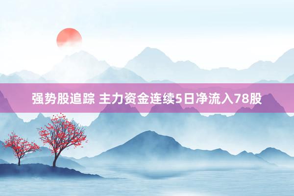强势股追踪 主力资金连续5日净流入78股