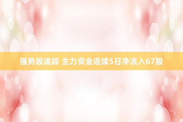 强势股追踪 主力资金连续5日净流入67股