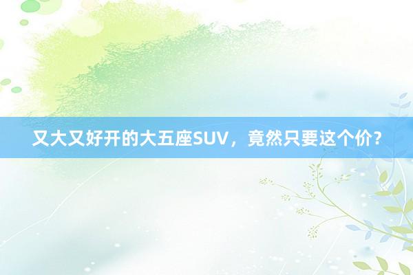 又大又好开的大五座SUV，竟然只要这个价？