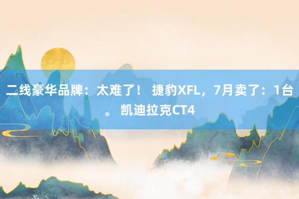 二线豪华品牌：太难了！ 捷豹XFL，7月卖了：1台。 凯迪拉克CT4