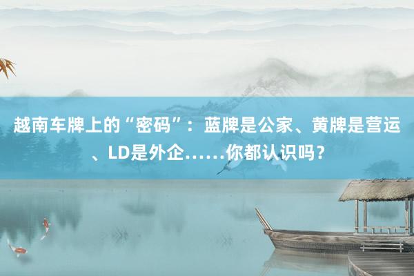 越南车牌上的“密码”：蓝牌是公家、黄牌是营运、LD是外企……你都认识吗？