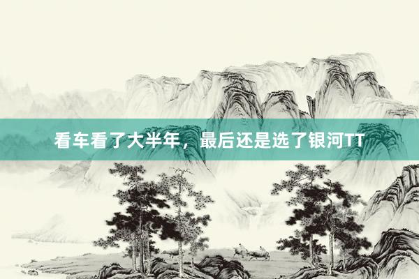 看车看了大半年，最后还是选了银河TT