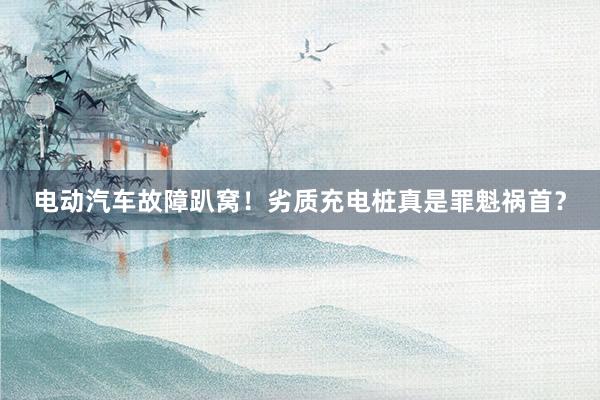 电动汽车故障趴窝！劣质充电桩真是罪魁祸首？