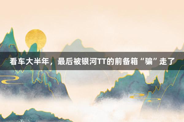 看车大半年，最后被银河TT的前备箱“骗”走了