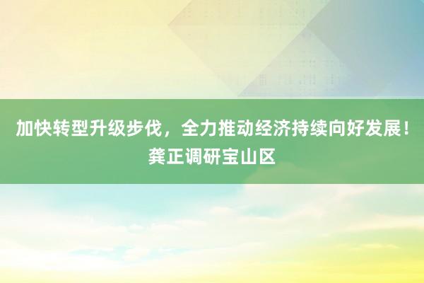 加快转型升级步伐，全力推动经济持续向好发展！龚正调研宝山区