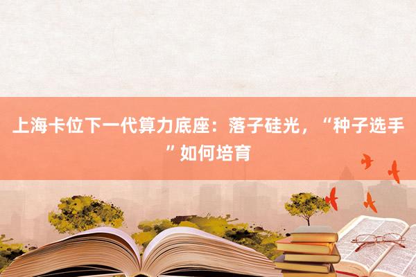 上海卡位下一代算力底座:落子硅光,“种子选手”如何培育