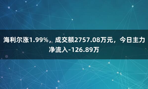 海利尔涨1.99%，成交额2757.08万元，今日主力净流入-126.89万