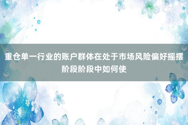 重仓单一行业的账户群体在处于市场风险偏好摇摆阶段阶段中如何使