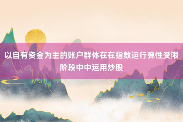 以自有资金为主的账户群体在在指数运行弹性受限阶段中中运用炒股