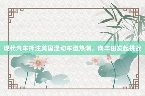 现代汽车押注美国混动车型热潮，向丰田发起挑战