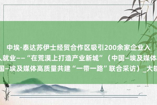 中埃·泰达苏伊士经贸合作区吸引200余家企业入驻、直接带动超过1万人就业——“在荒漠上打造产业新城”（中国—埃及媒体高质量共建“一带一路”联合采访）_大皖新闻 | 安徽网