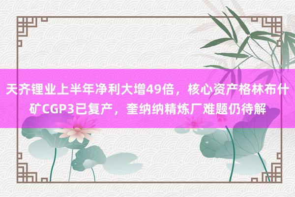 天齐锂业上半年净利大增49倍,核心资产格林布什矿CGP3已复产,奎纳纳精炼厂难题仍待解