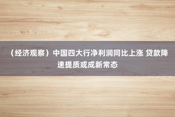 （经济观察）中国四大行净利润同比上涨 贷款降速提质或成新常态