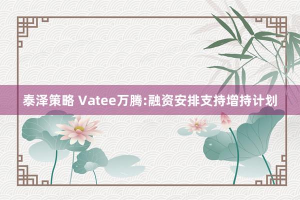 泰泽策略 Vatee万腾:融资安排支持增持计划