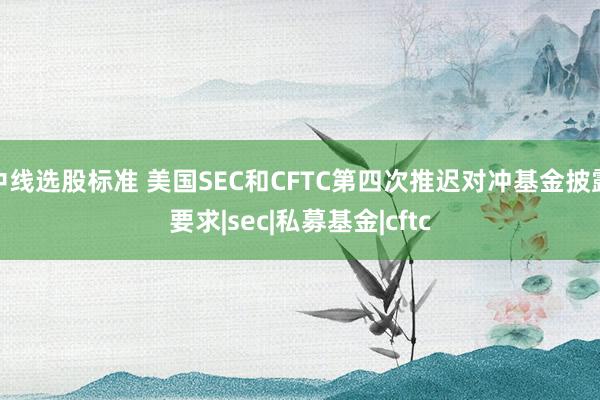 中线选股标准 美国SEC和CFTC第四次推迟对冲基金披露要求|sec|私募基金|cftc