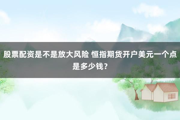 股票配资是不是放大风险 恒指期货开户美元一个点是多少钱？