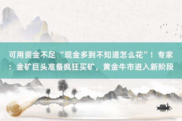 可用资金不足 “现金多到不知道怎么花”！专家：金矿巨头准备疯狂买矿，黄金牛市进入新阶段