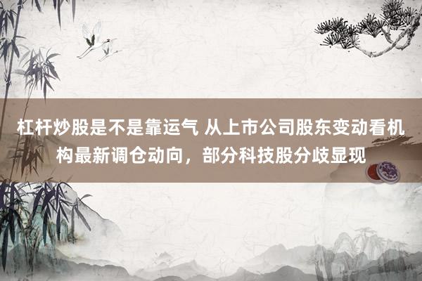 杠杆炒股是不是靠运气 从上市公司股东变动看机构最新调仓动向，部分科技股分歧显现