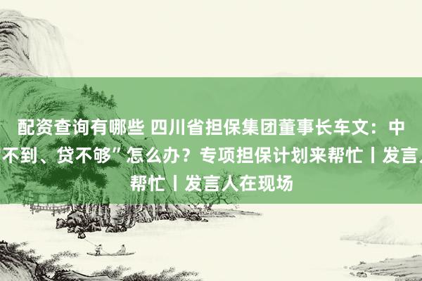 配资查询有哪些 四川省担保集团董事长车文：中小微“贷不到、贷不够”怎么办？专项担保计划来帮忙丨发言人在现场