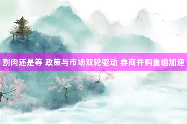 割肉还是等 政策与市场双轮驱动 券商并购重组加速