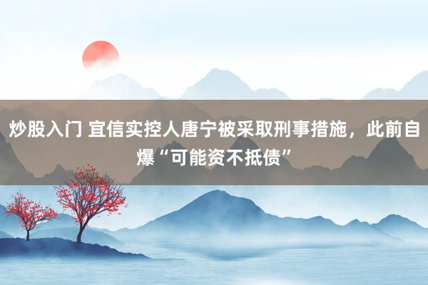 炒股入门 宜信实控人唐宁被采取刑事措施，此前自爆“可能资不抵债”