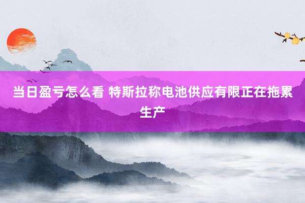 当日盈亏怎么看 特斯拉称电池供应有限正在拖累生产